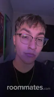 Roommate looking Houston, TX, $600