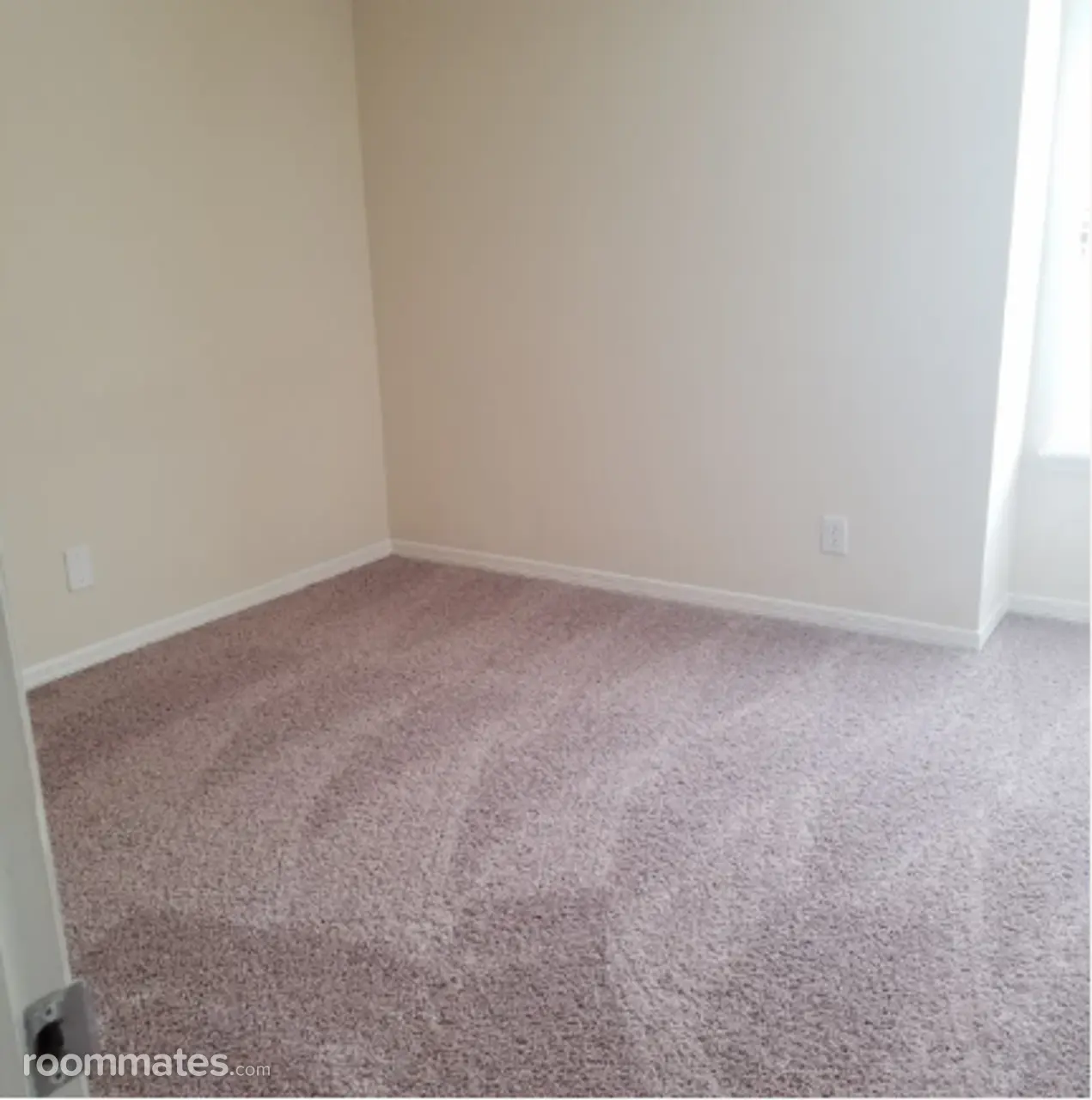 Profile photo 2 of 3