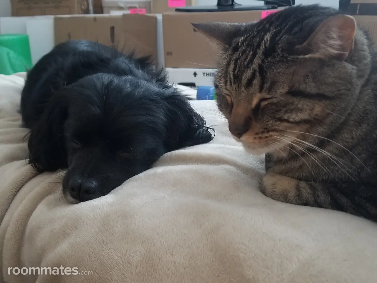 Profile photo 3 of 3