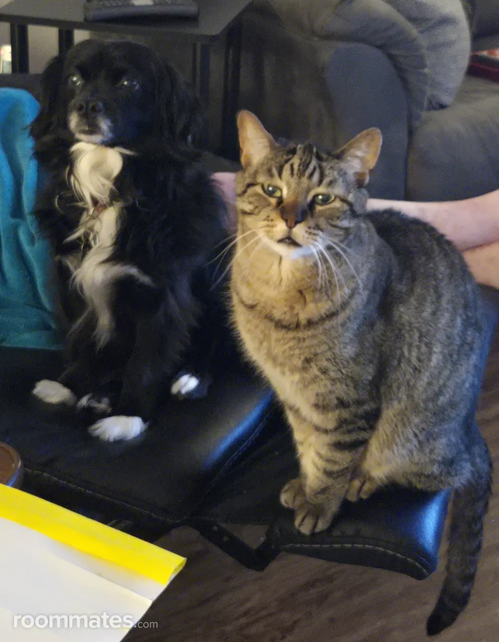 Profile photo 2 of 3