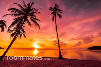 Roommate looking Bowie, MD, $900