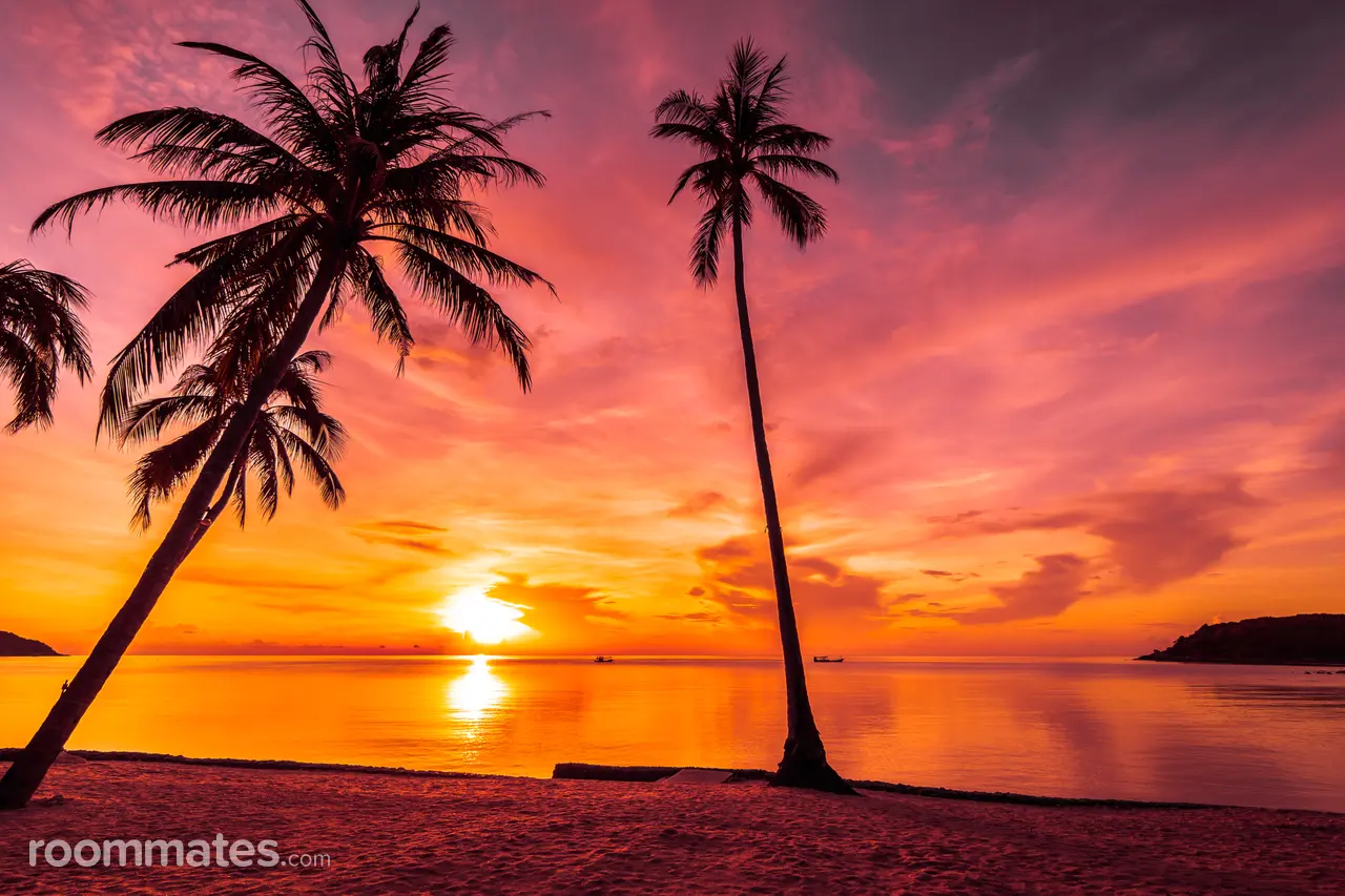 Profile photo 1 of 1