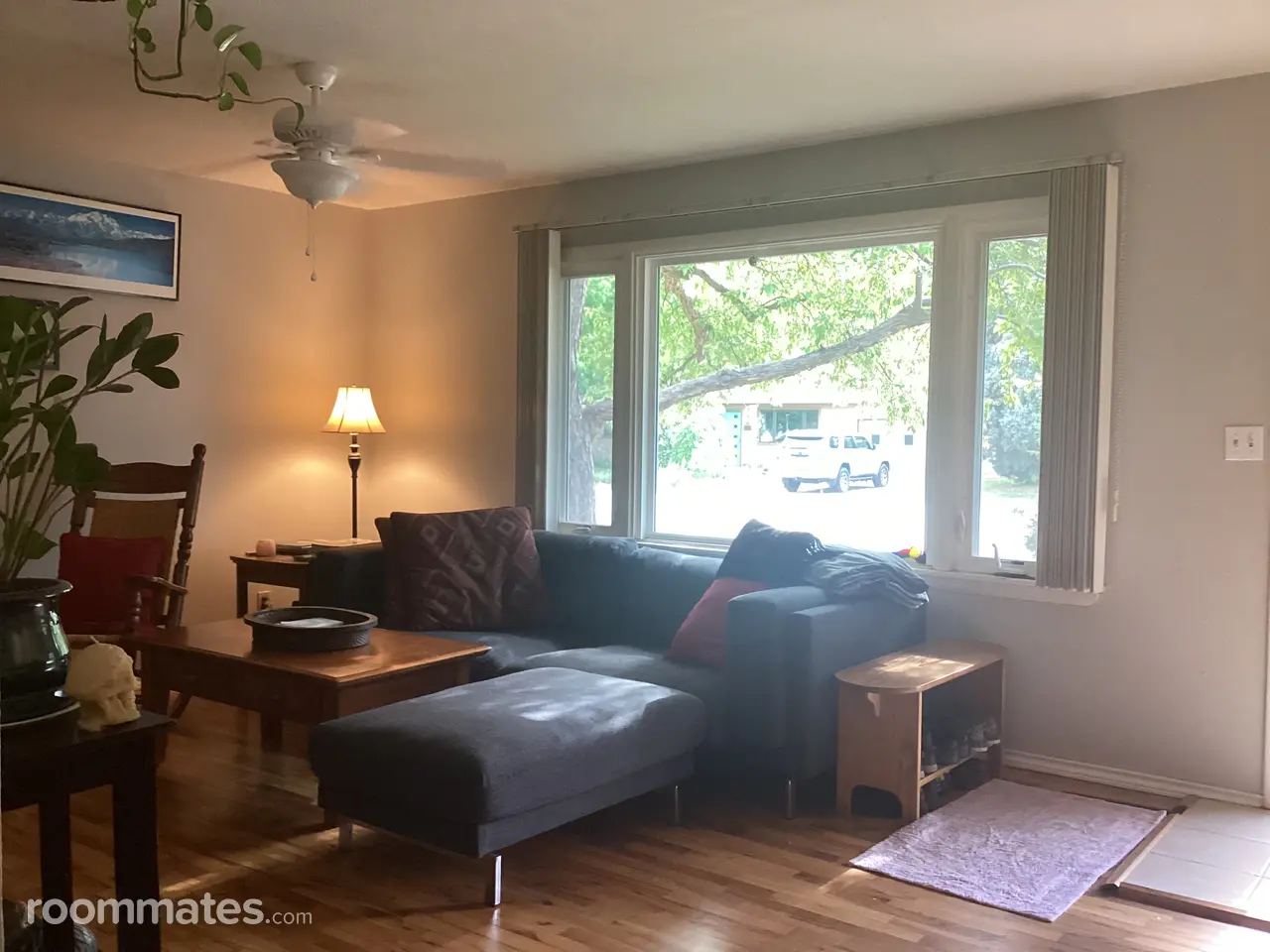 Profile photo 9 of 14