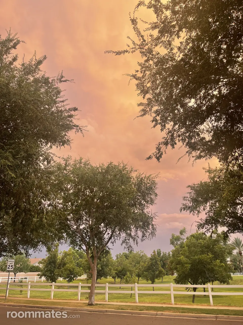 Profile photo 1 of 1