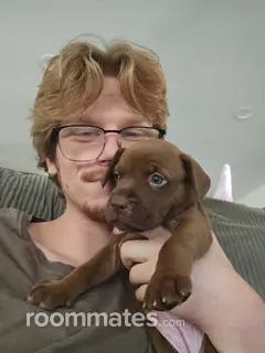 Roommate looking Folsom, CA, $1300