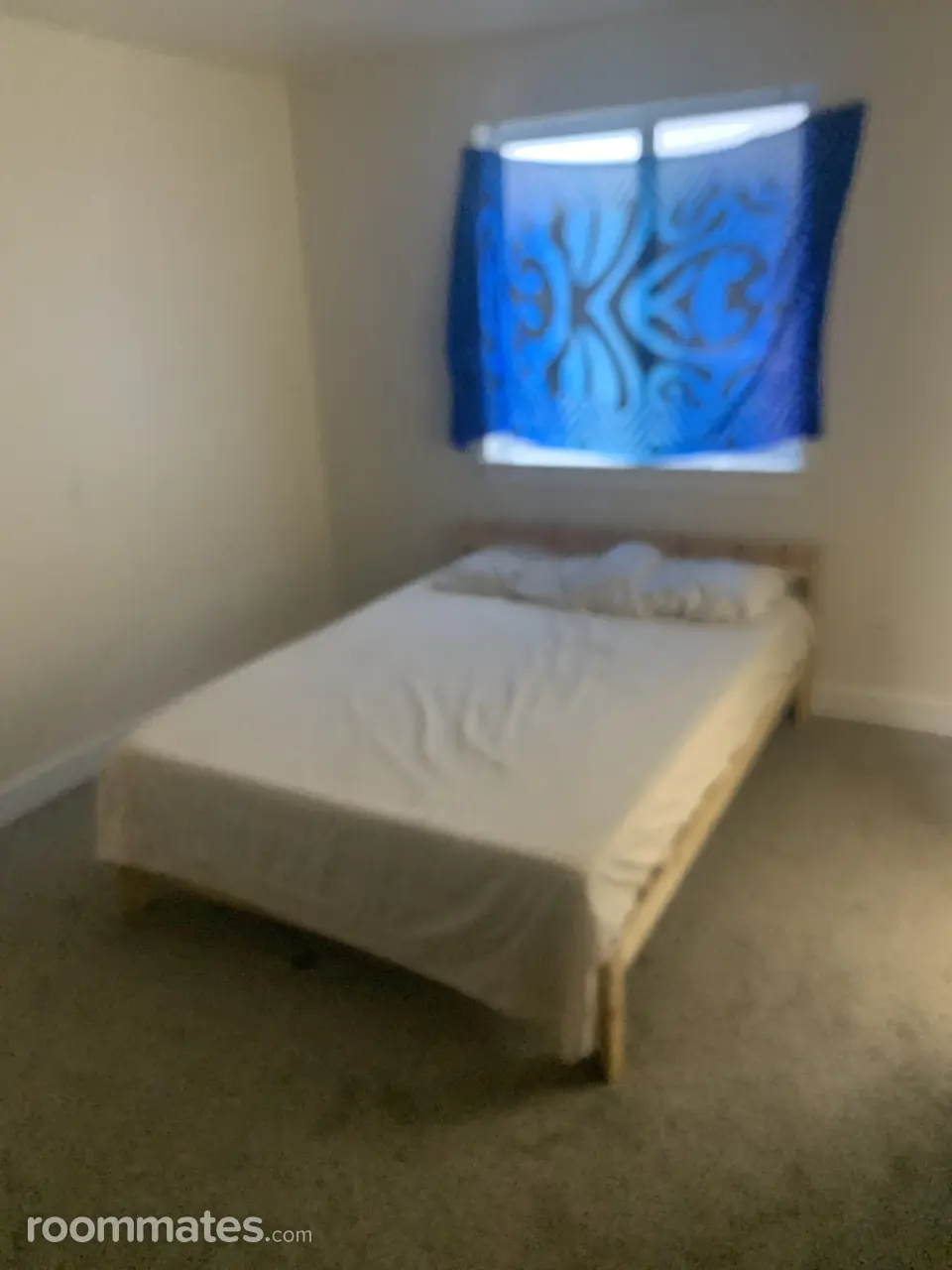 Profile photo 3 of 8