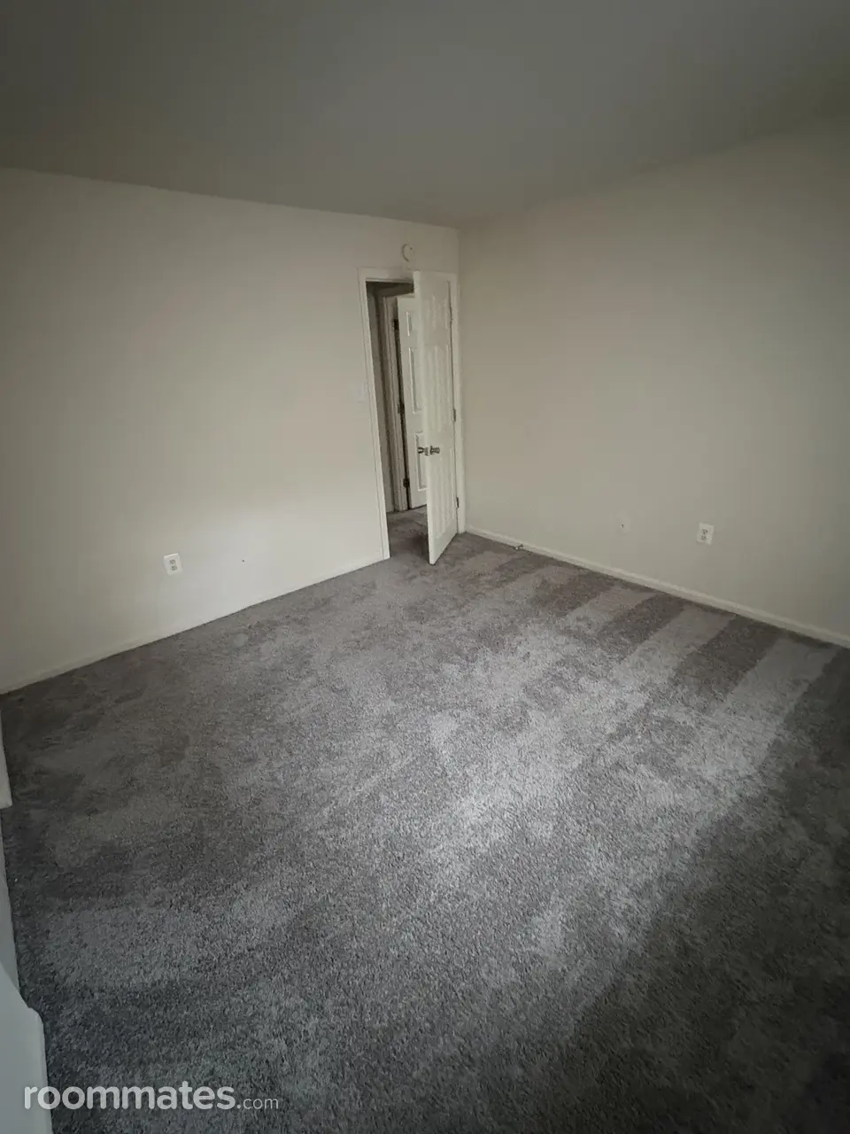 Profile photo 5 of 8