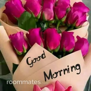 Room for rent in Philadelphia, PA $600, house