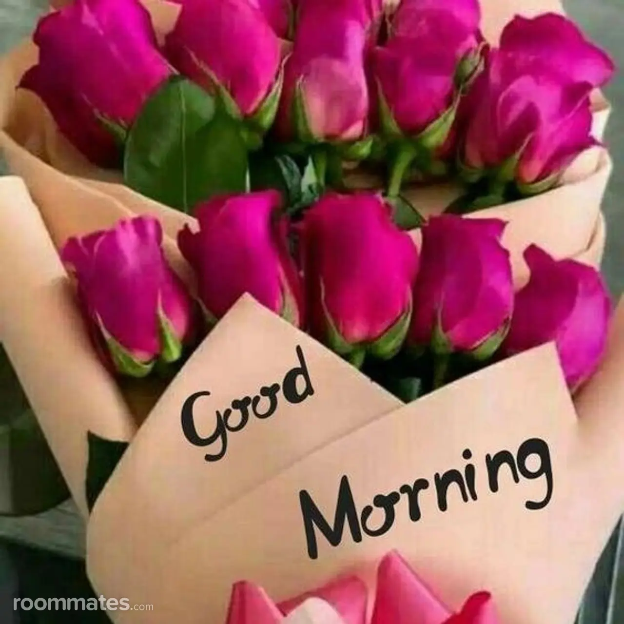 Profile photo 1 of 3