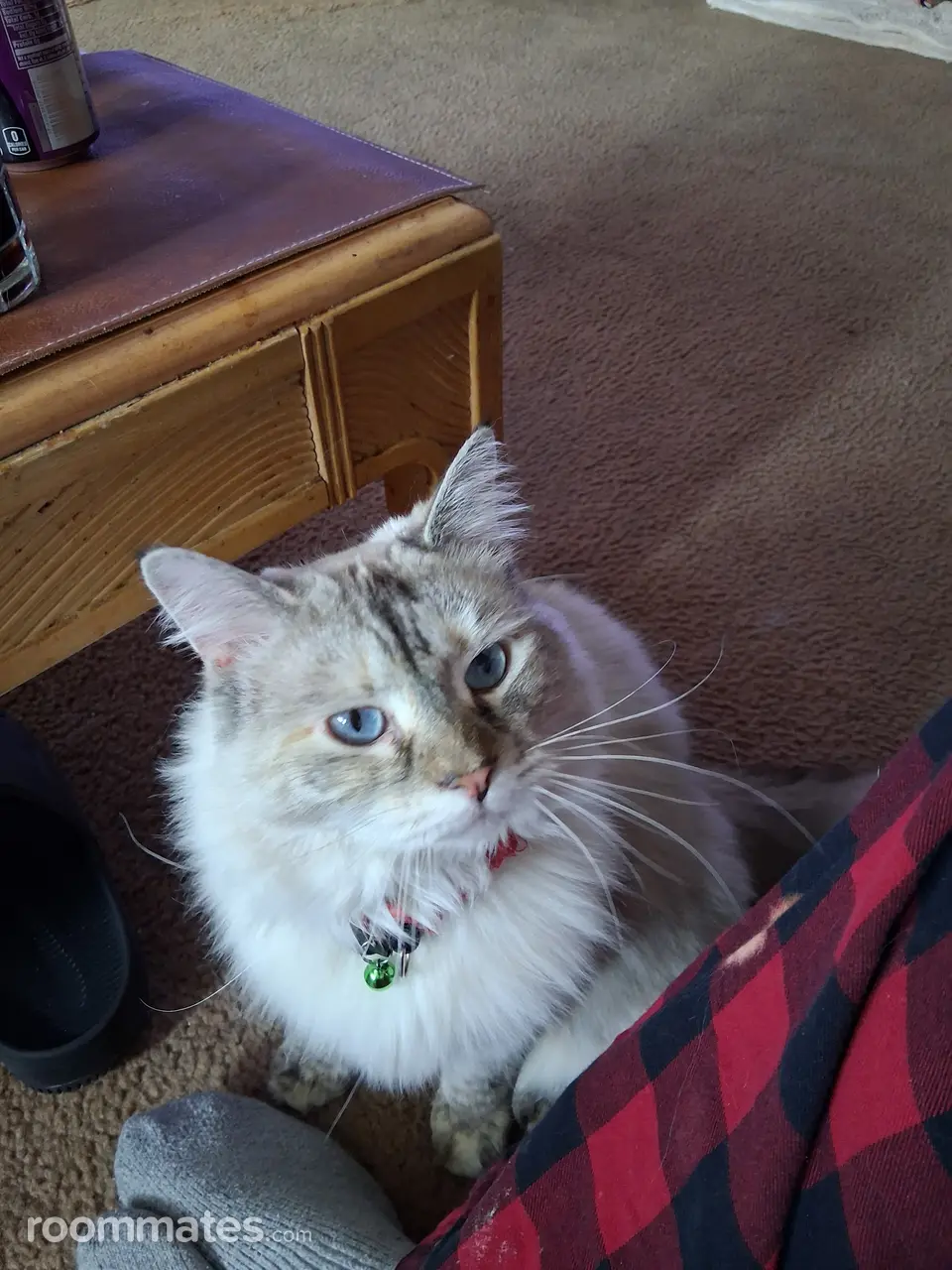 Profile photo 2 of 3