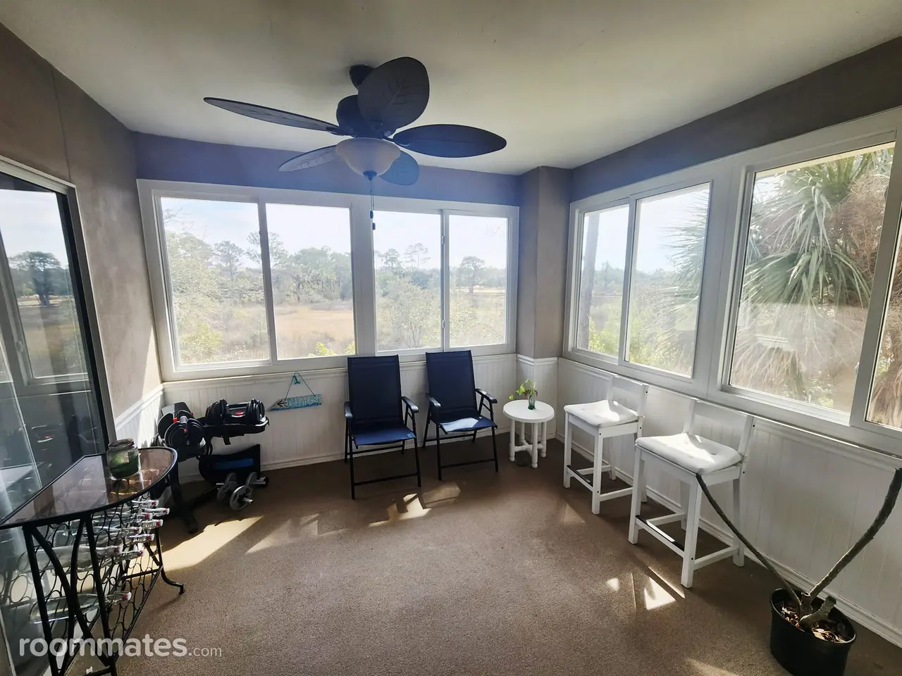 Profile photo 2 of 13