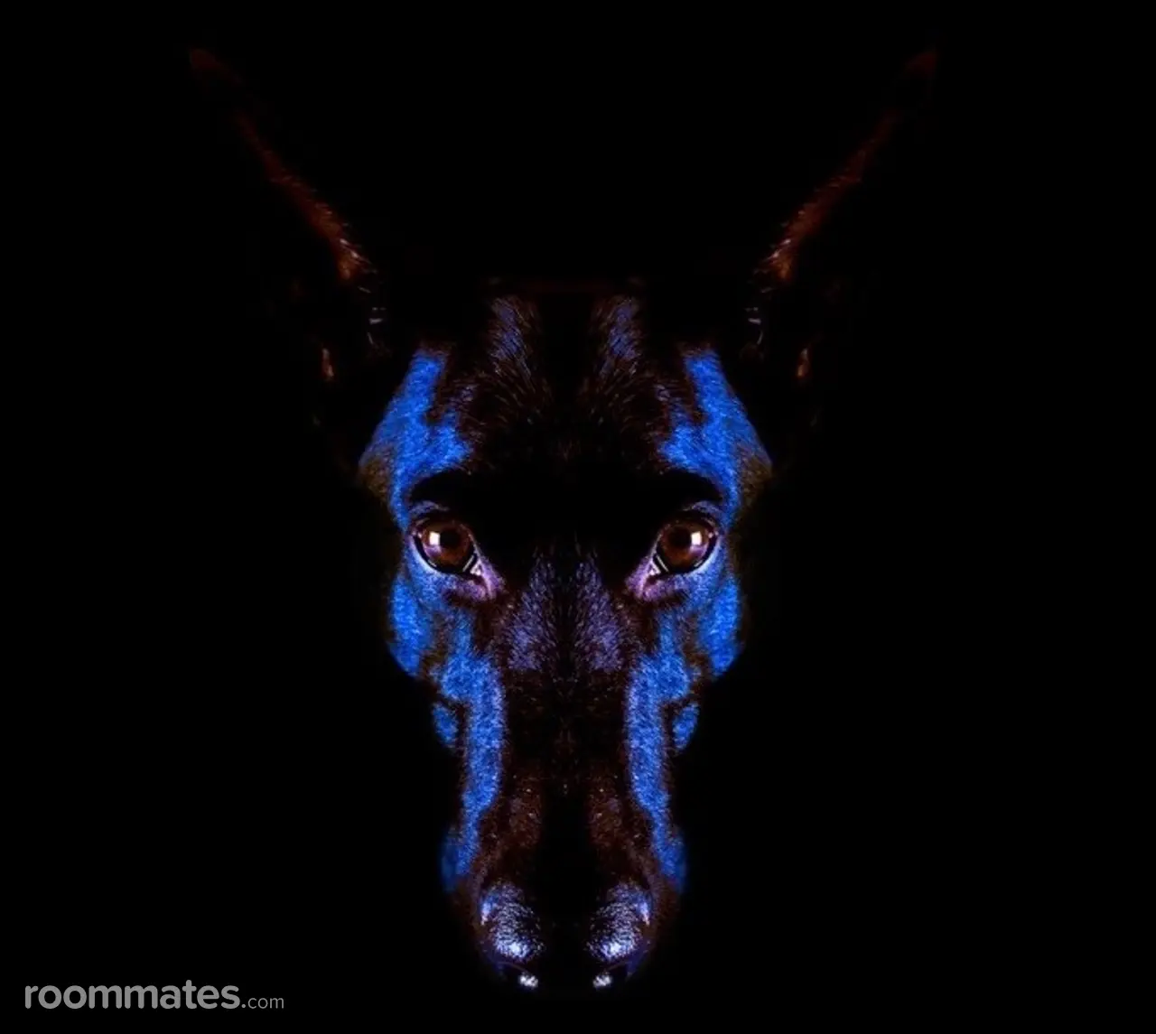 Profile photo 1 of 2