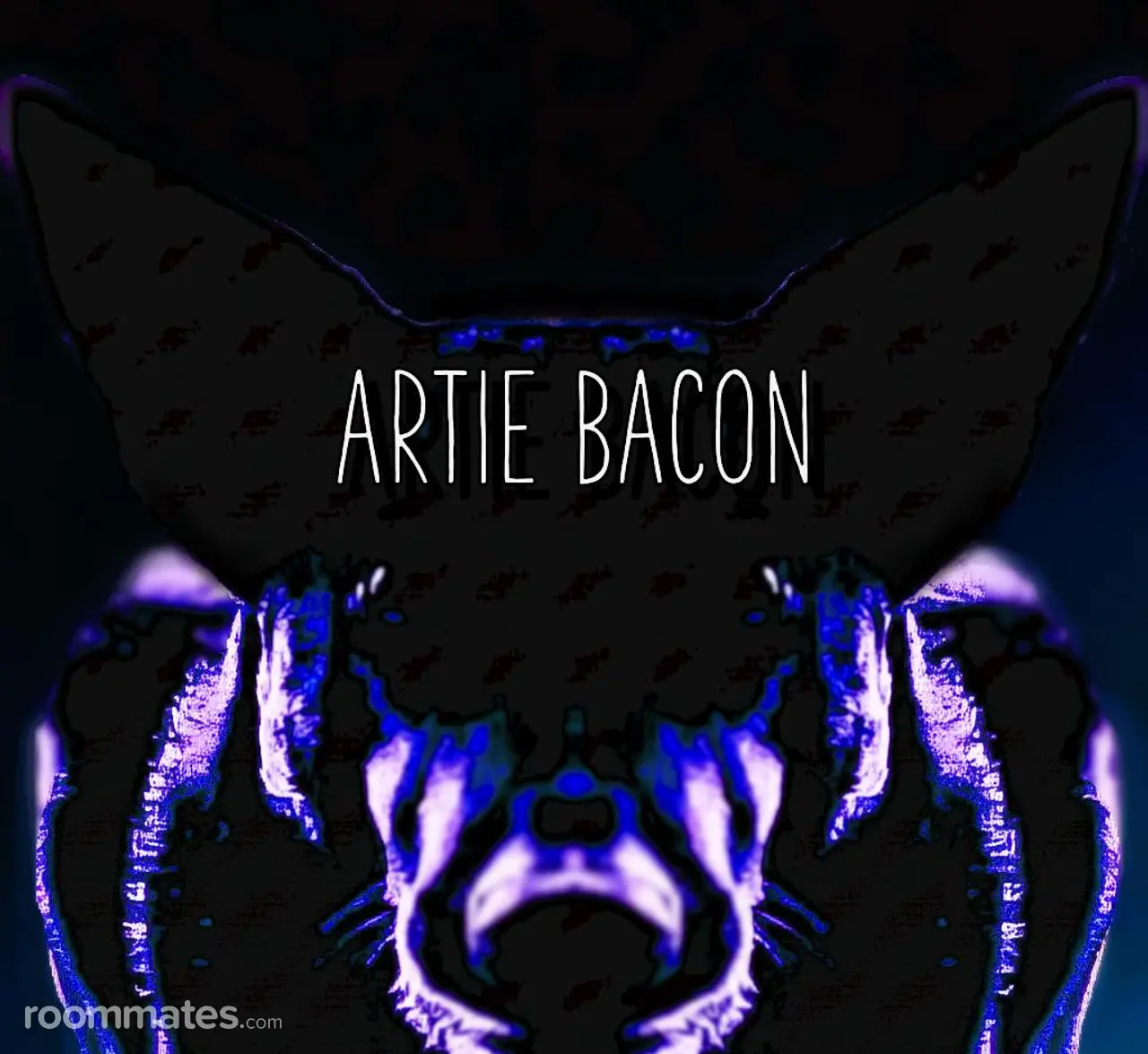 Profile photo 2 of 2