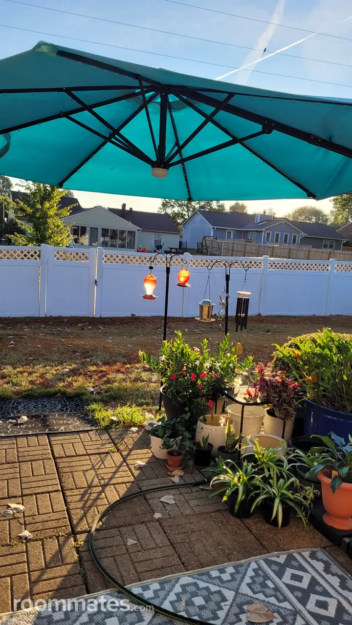 Profile photo 2 of 4