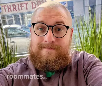 Roommate looking Pittsburgh, PA, $600