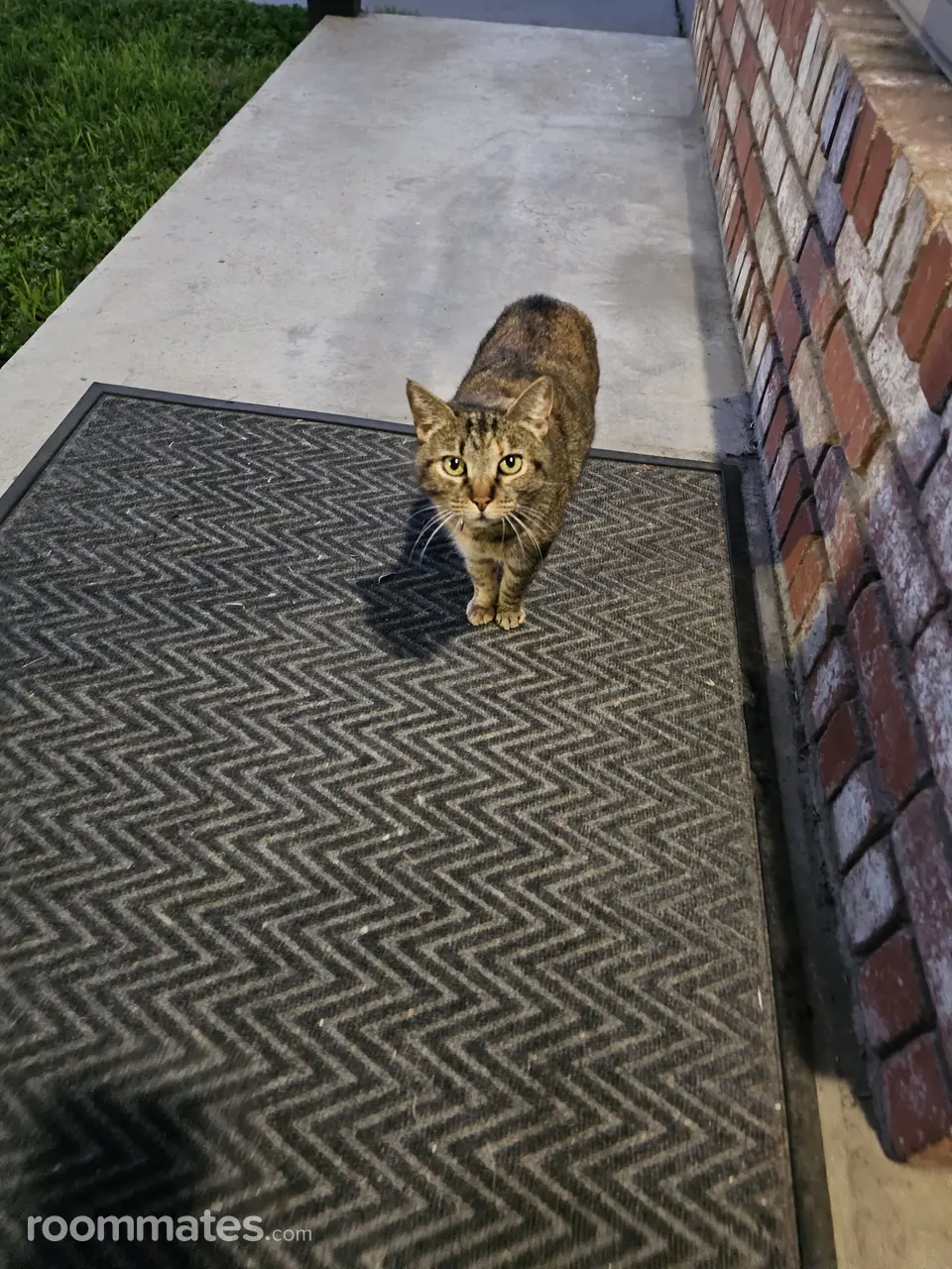 Profile photo 4 of 5