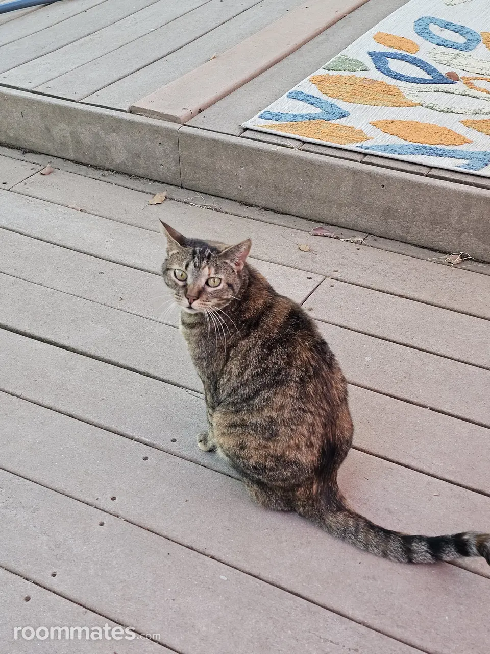 Profile photo 2 of 5