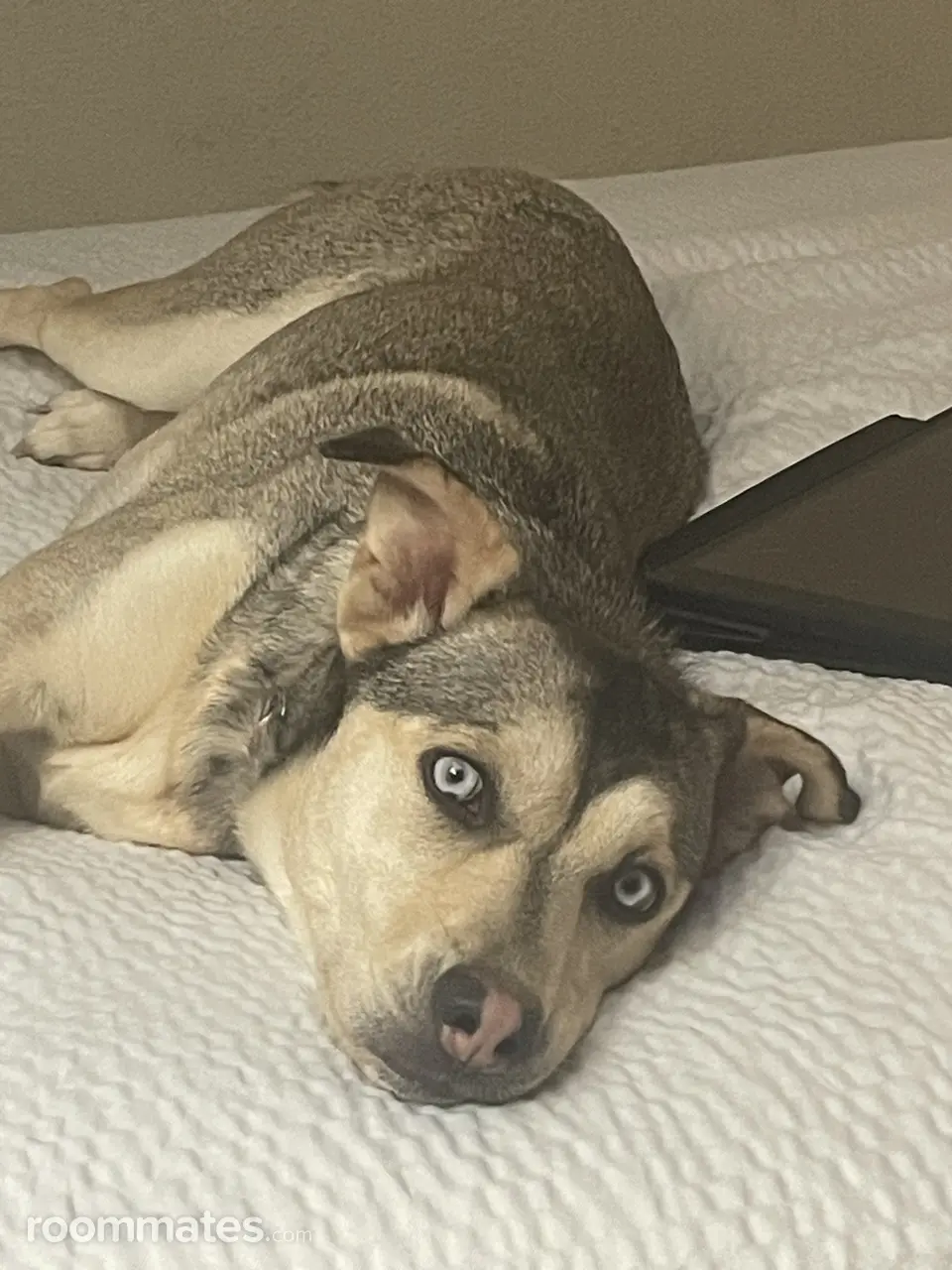 Profile photo 1 of 1