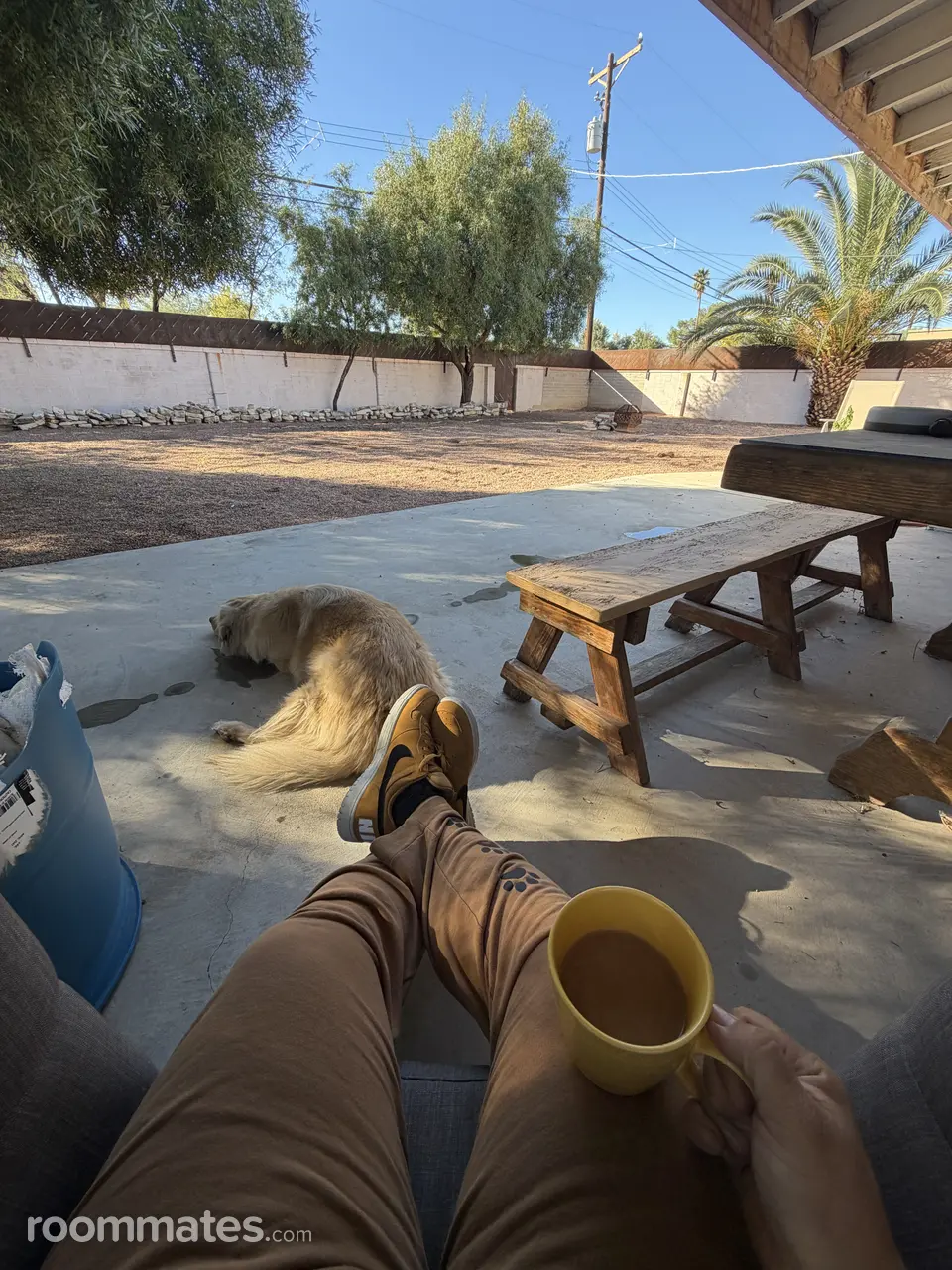 Profile photo 9 of 11