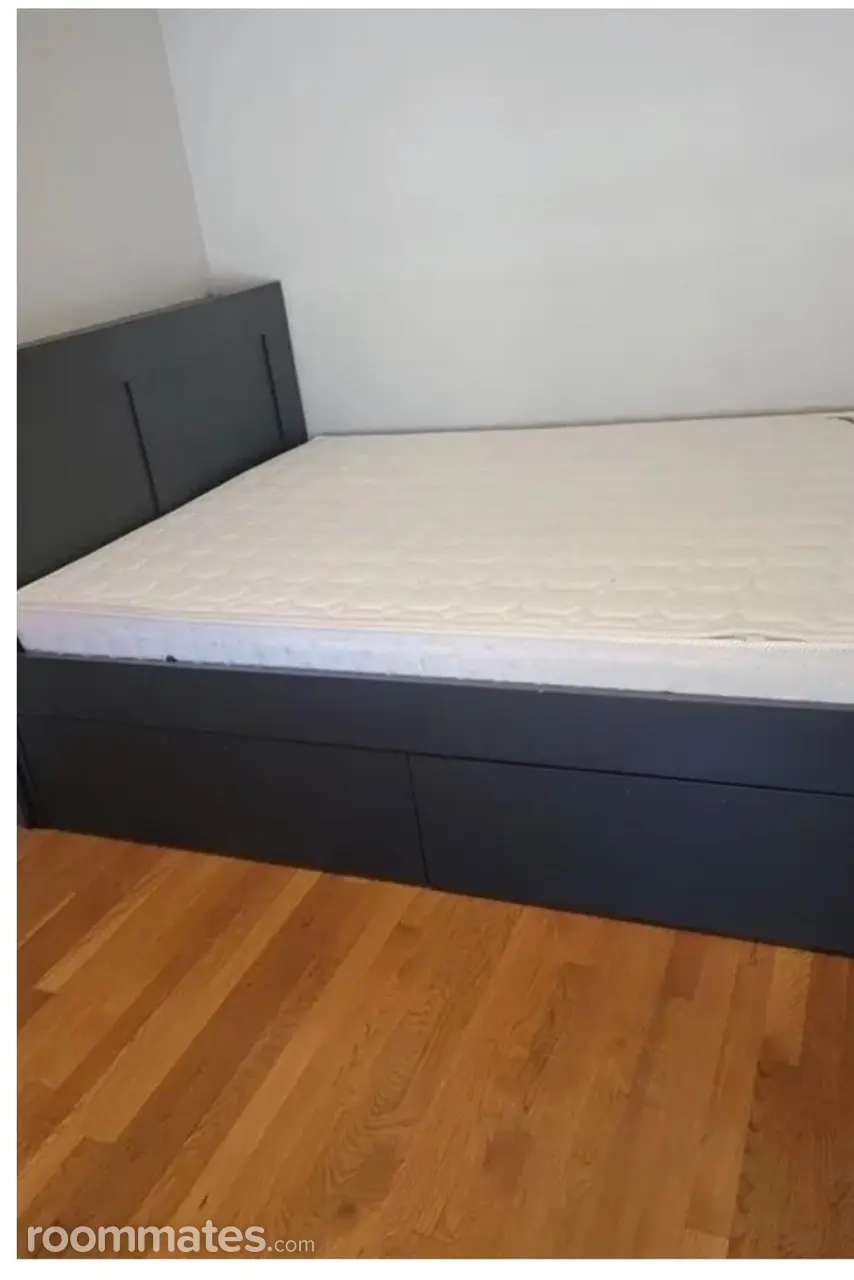 Profile photo 4 of 7