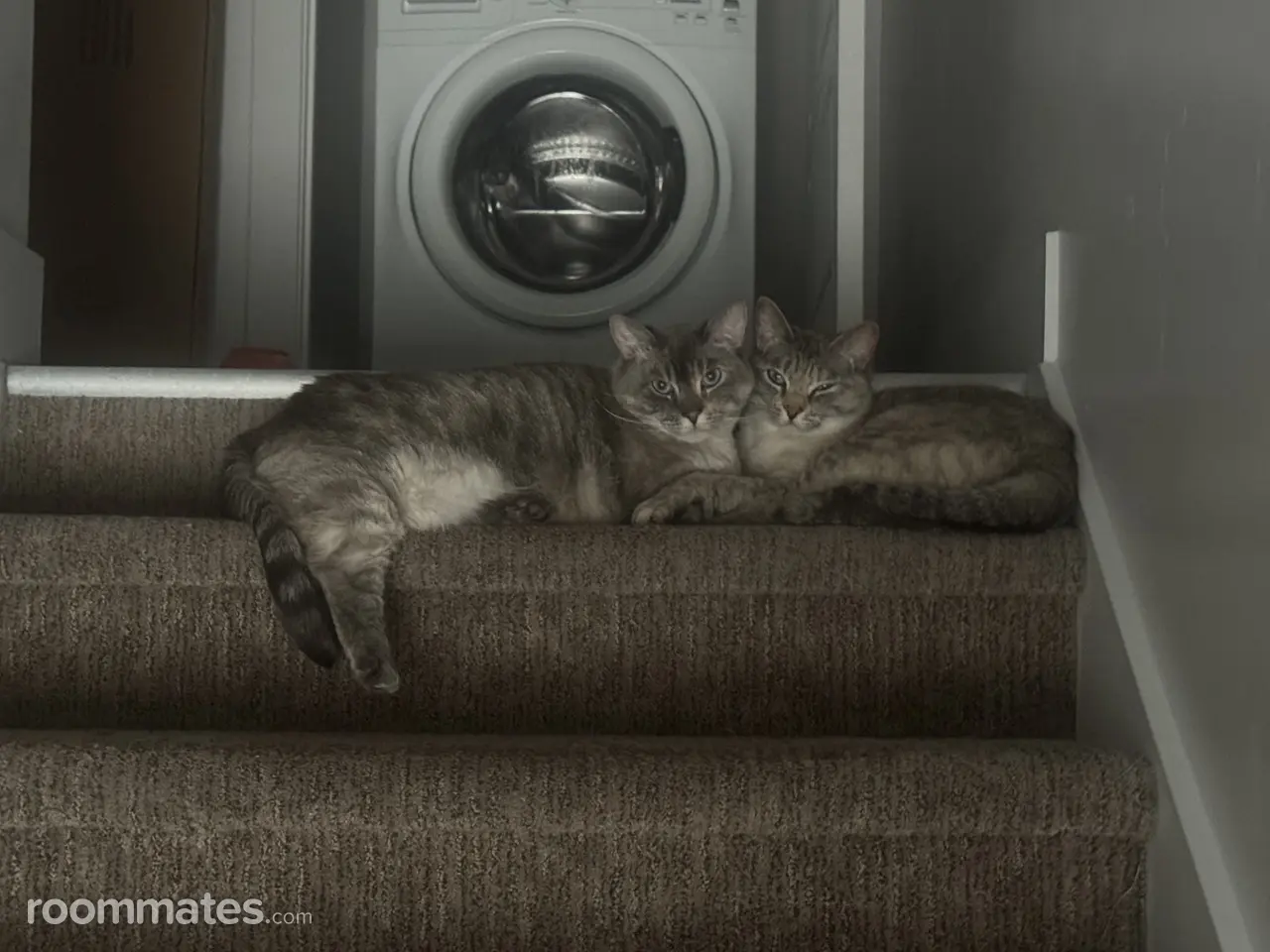 Profile photo 4 of 7