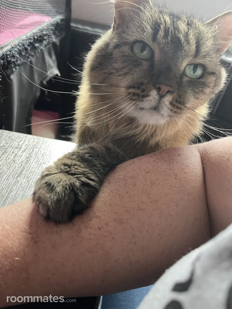 Profile photo 2 of 2