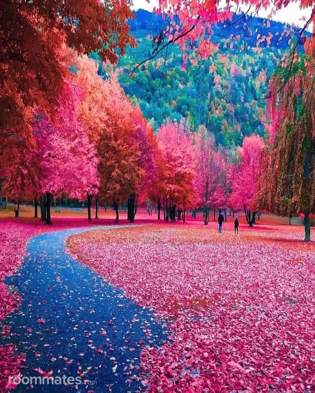 Profile photo 6 of 6