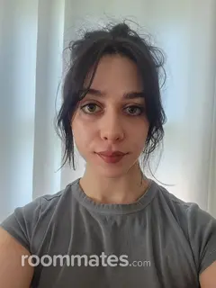 Roommate looking Iowa City, IA, $600