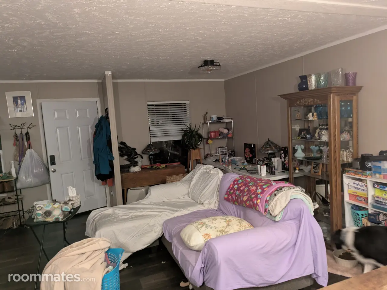 Profile photo 4 of 5