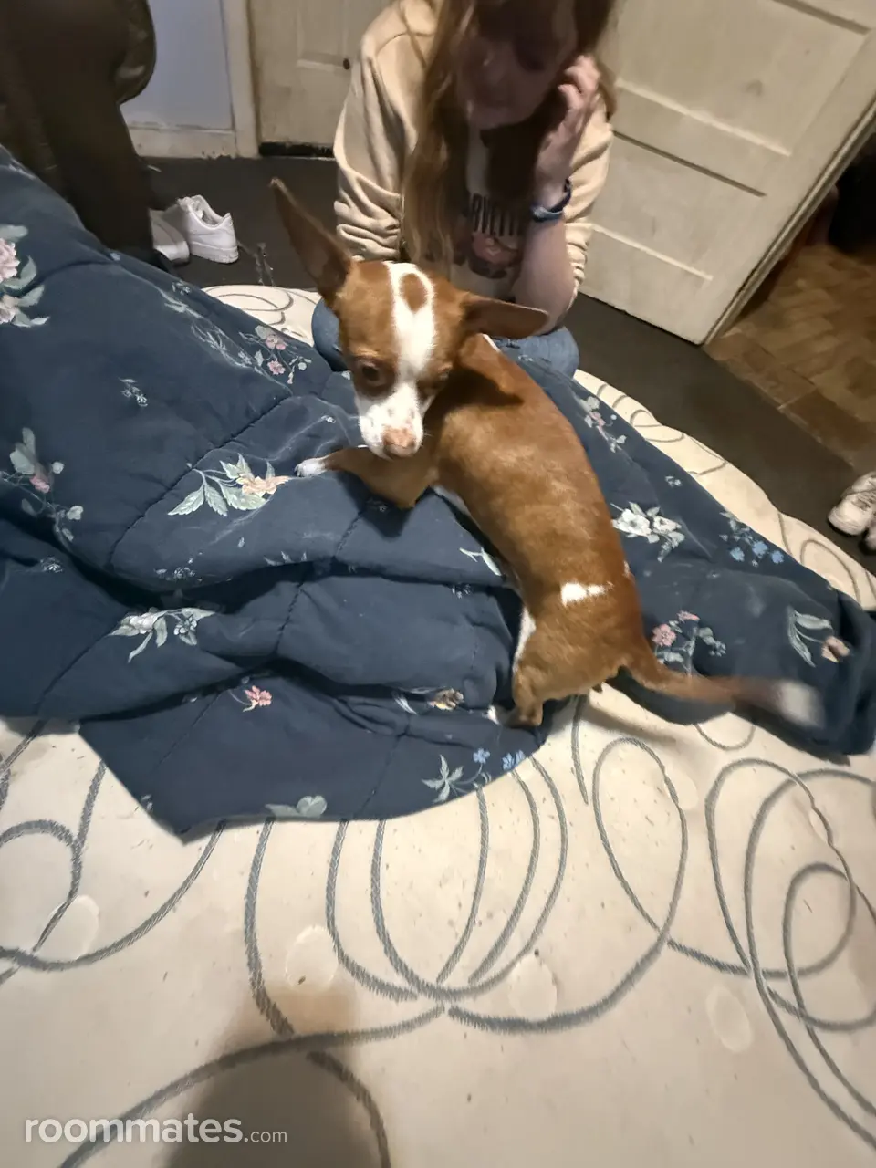 Profile photo 5 of 5