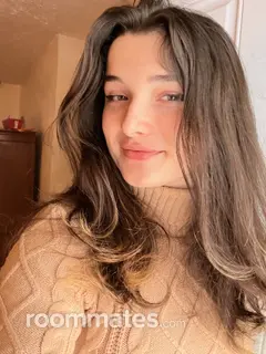 Roommate looking Pittsburgh, PA, $800