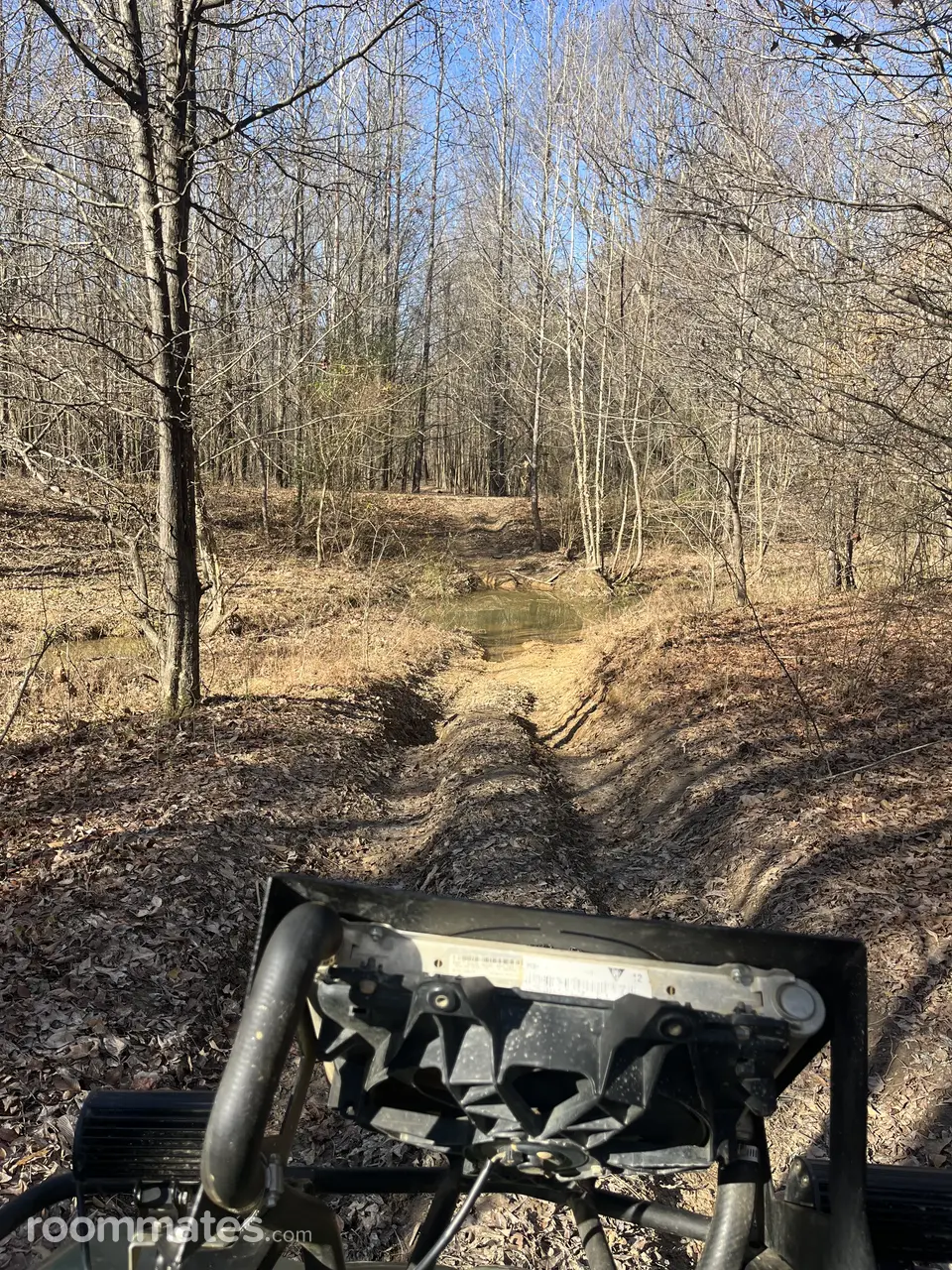 Profile photo 3 of 5