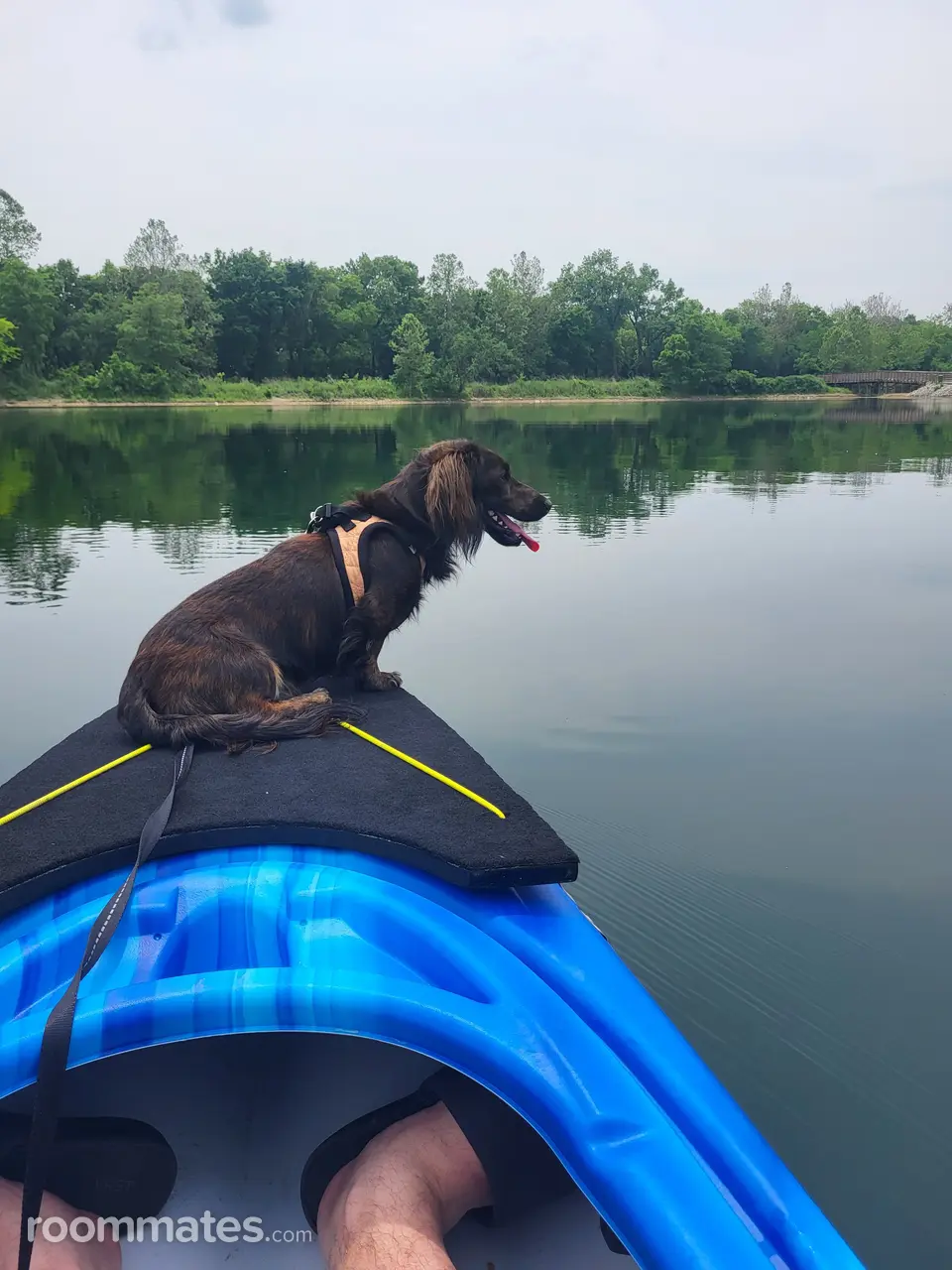 Profile photo 3 of 3