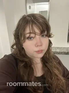 Roommate looking Jacksonville, FL, $800