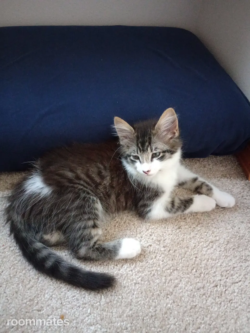 Profile photo 1 of 1