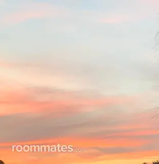 Roommate looking Jacksonville, FL, $800