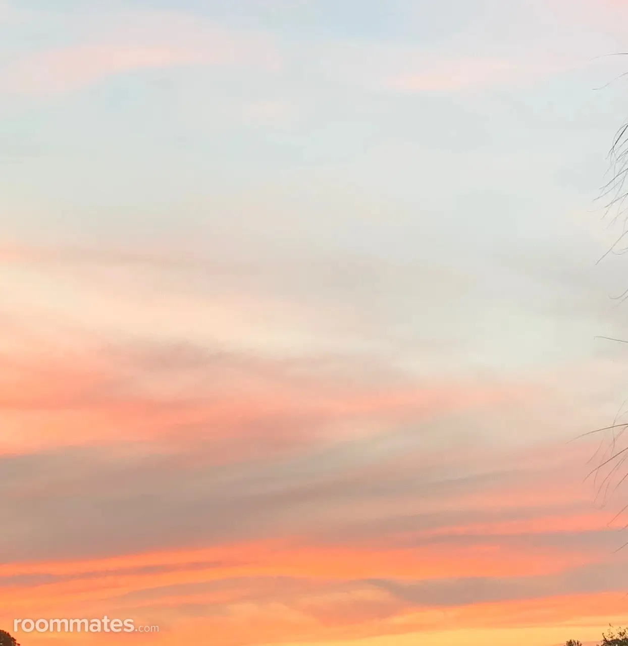 Profile photo 1 of 1