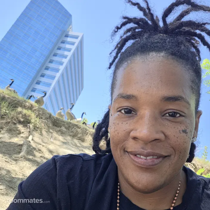 Roommate looking Sacramento, CA, $700