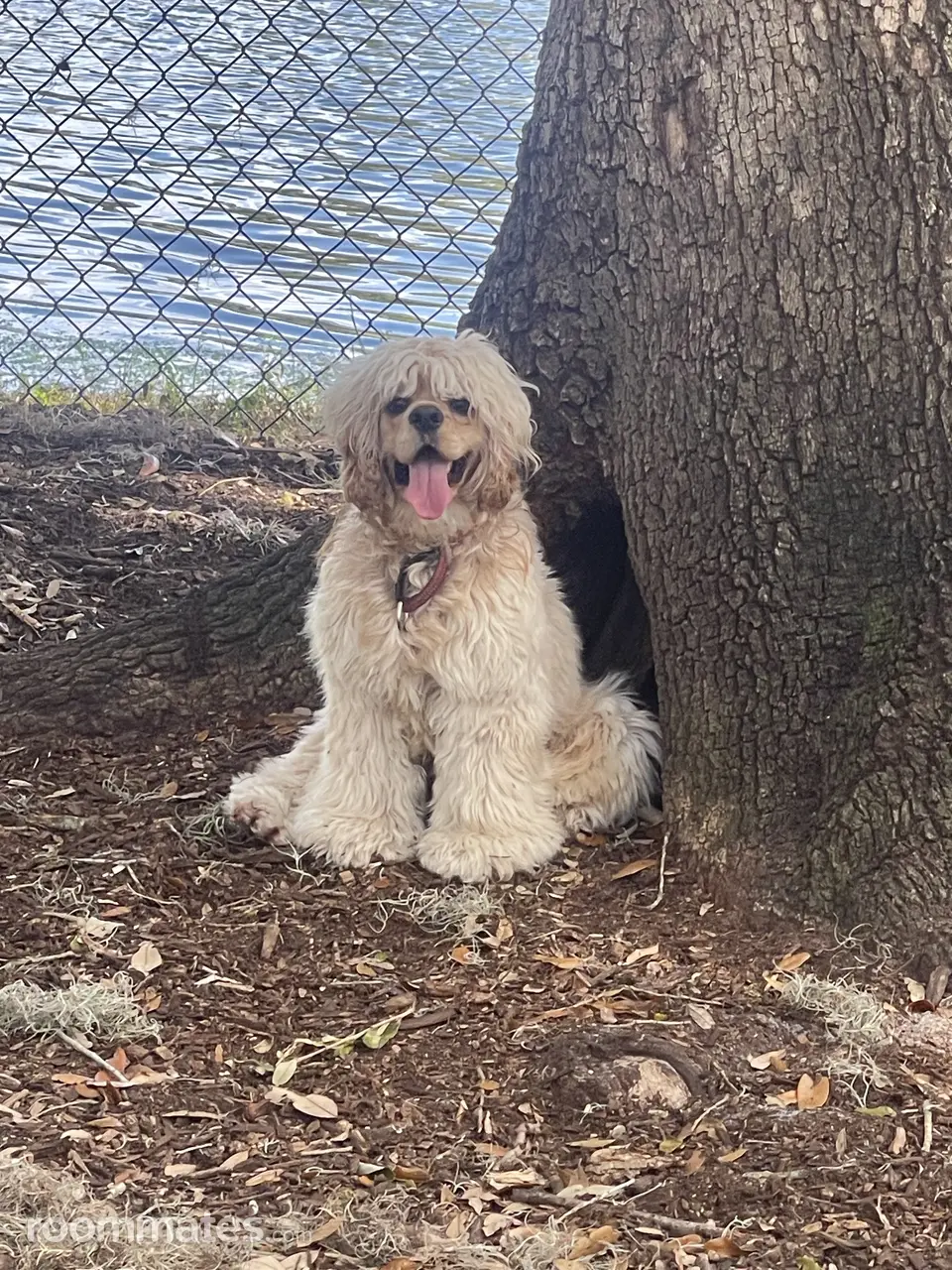 Profile photo 3 of 3