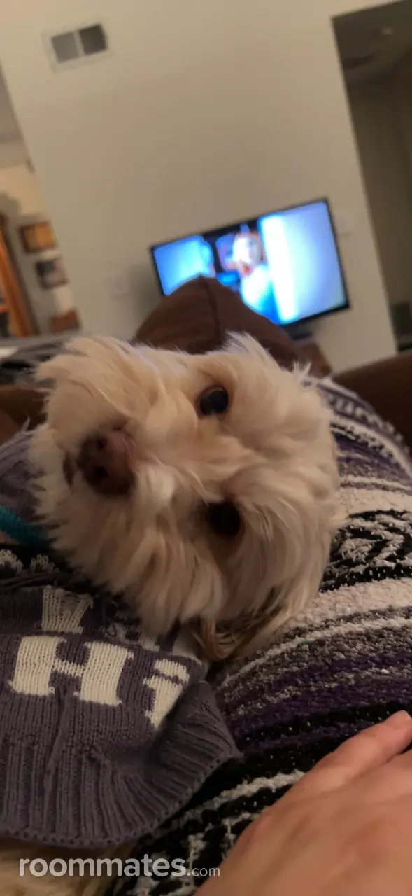 Profile photo 4 of 8