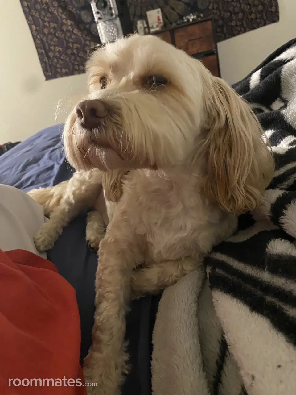 Profile photo 7 of 8