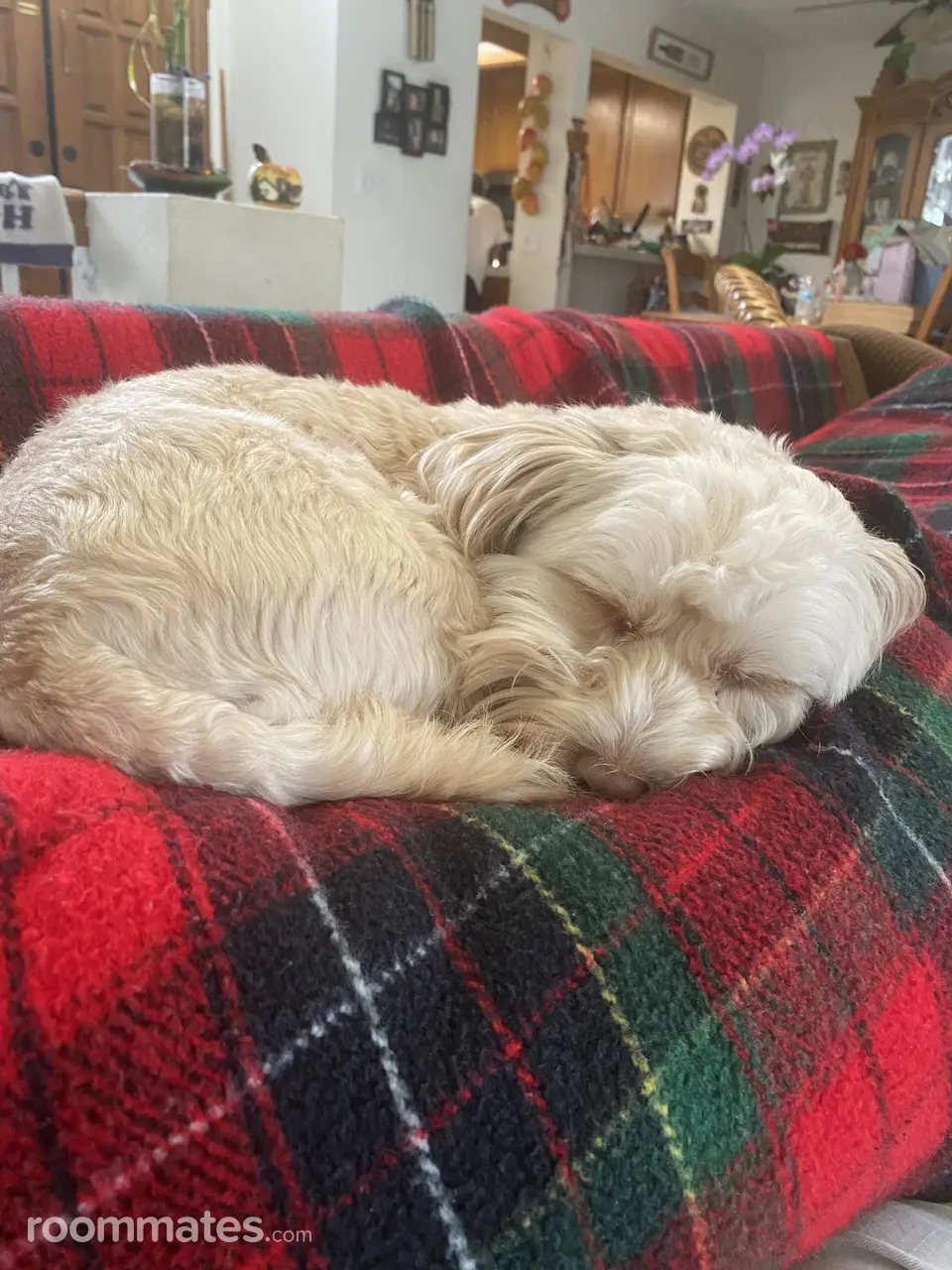 Profile photo 5 of 8