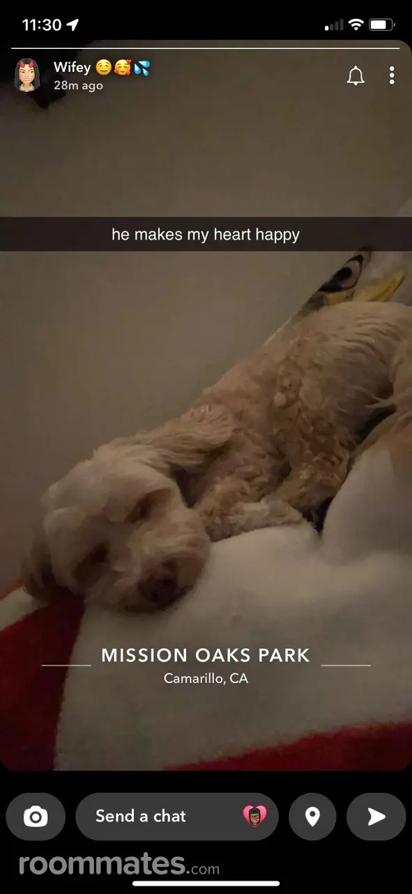 Profile photo 6 of 8