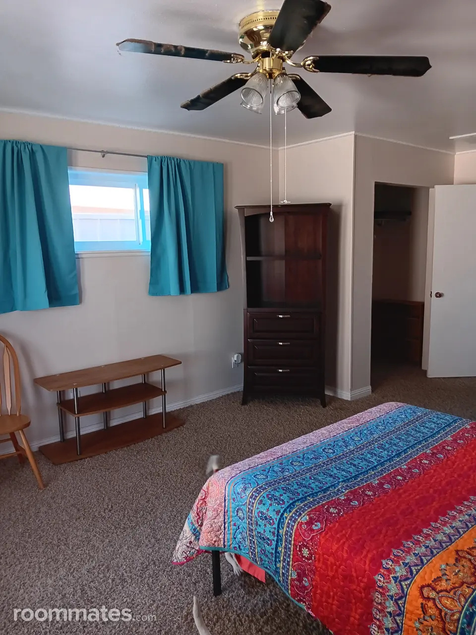 Profile photo 9 of 11