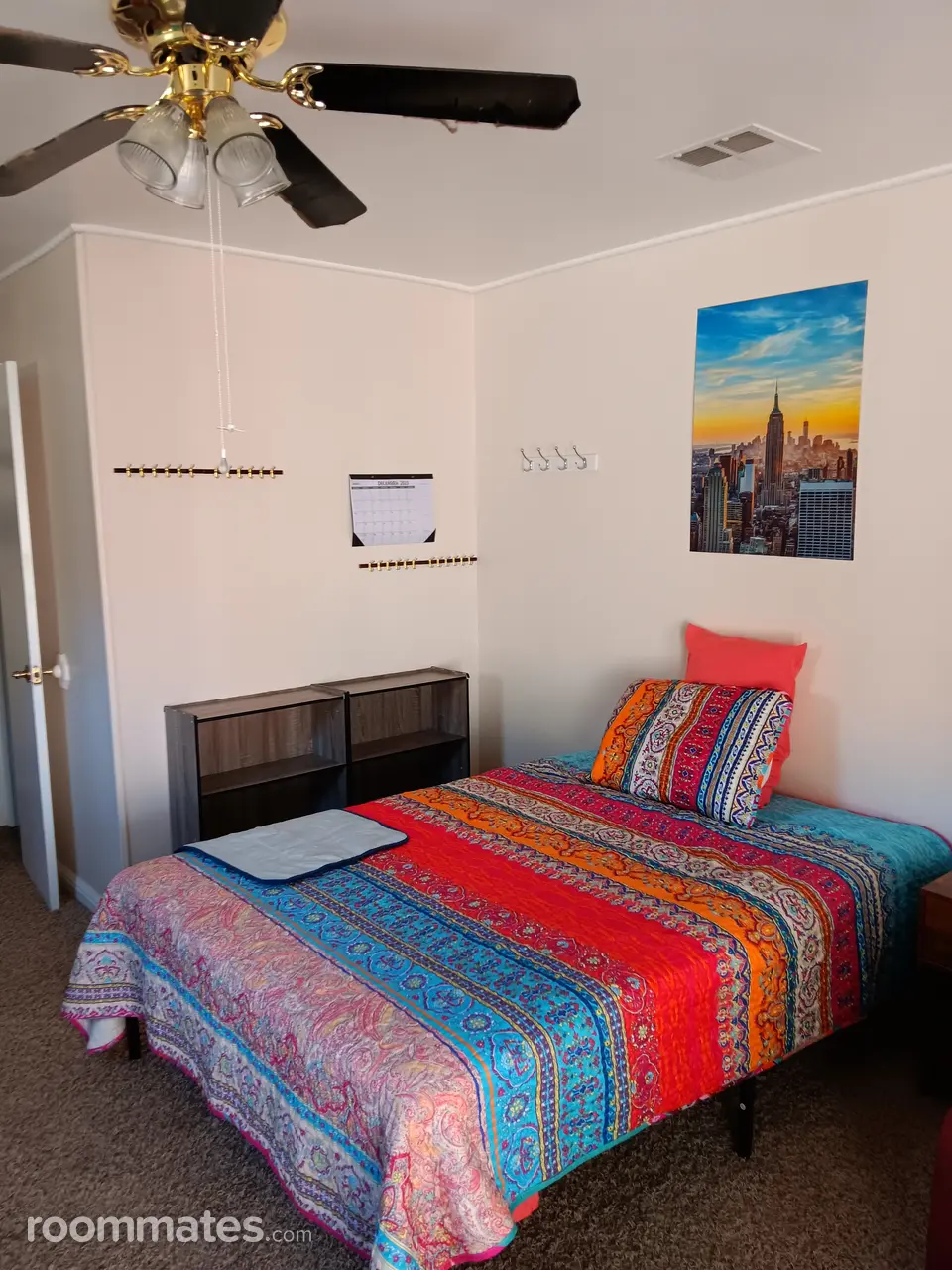 Profile photo 8 of 11