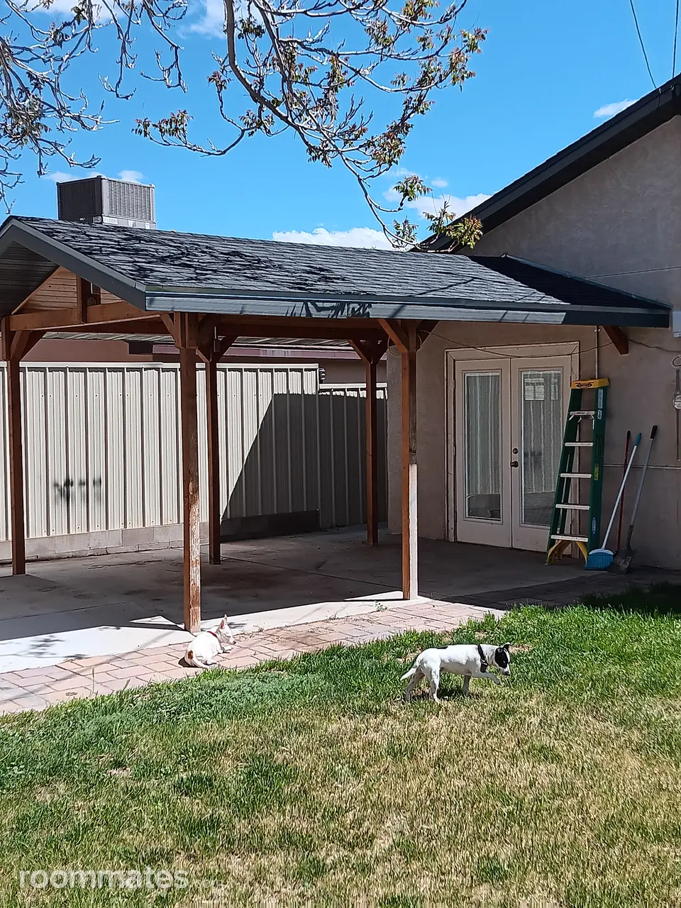 Profile photo 2 of 11