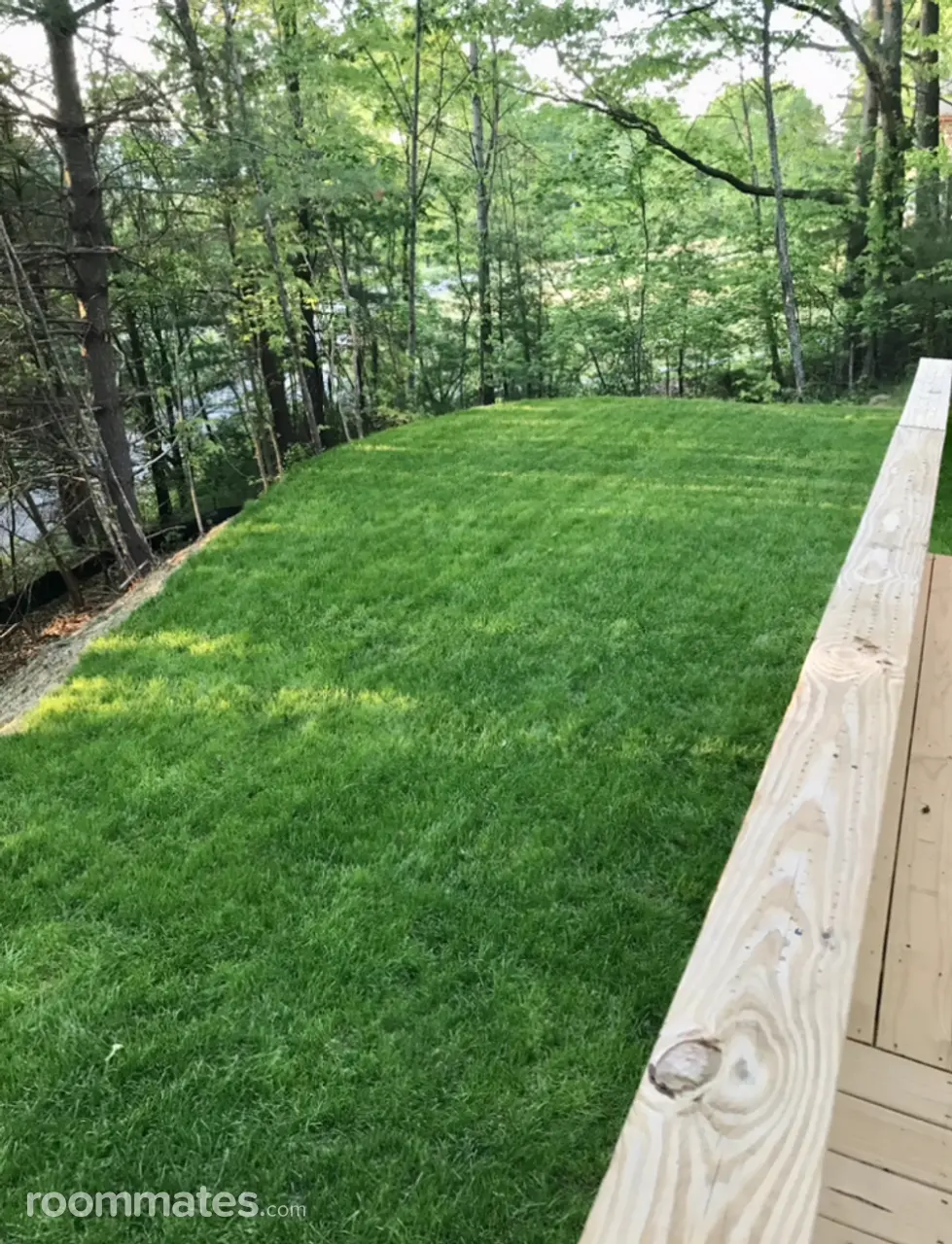 Profile photo 2 of 11