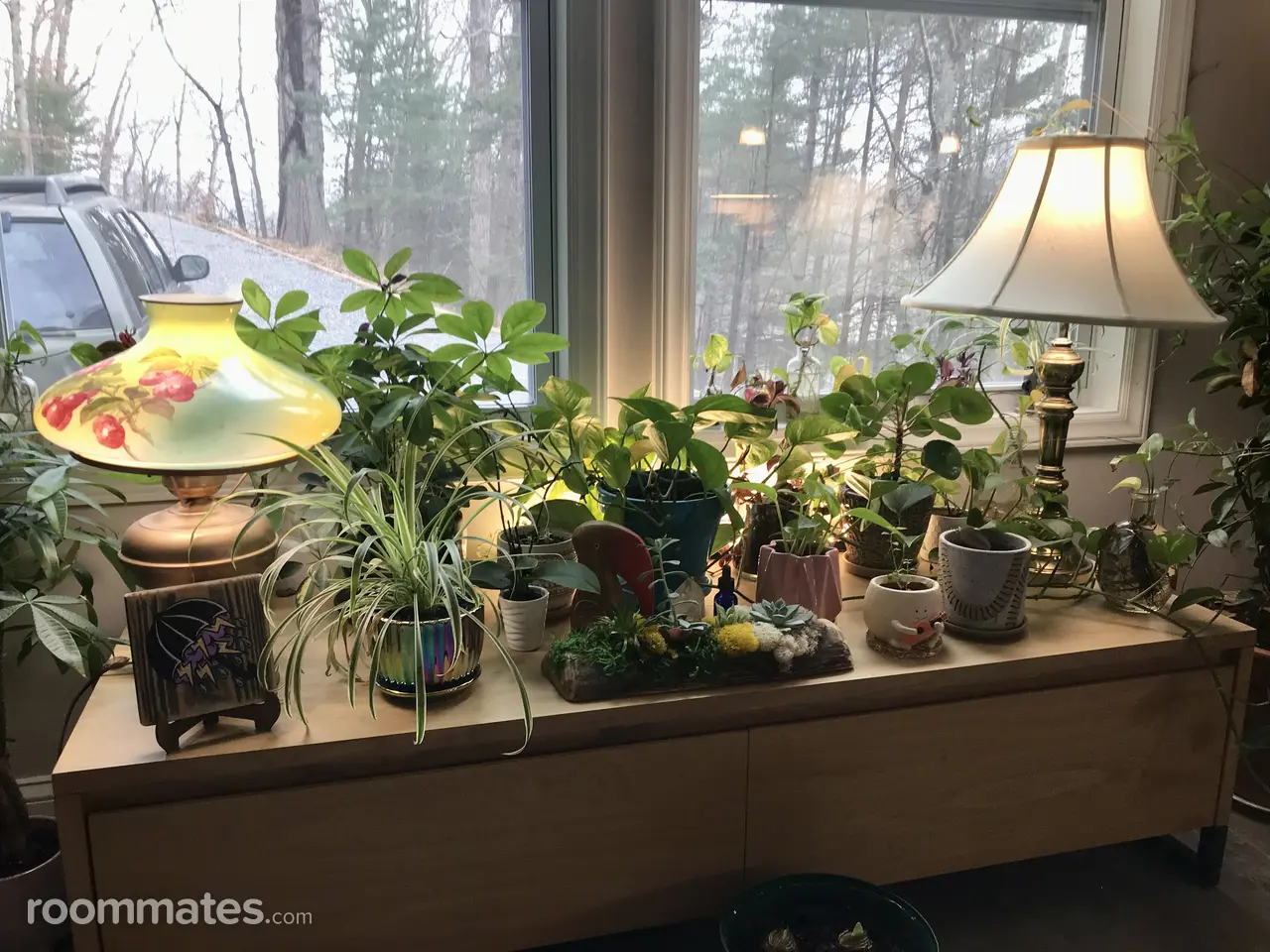 Profile photo 4 of 11