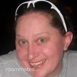 Roommate looking Charlottesville, VA, $1200