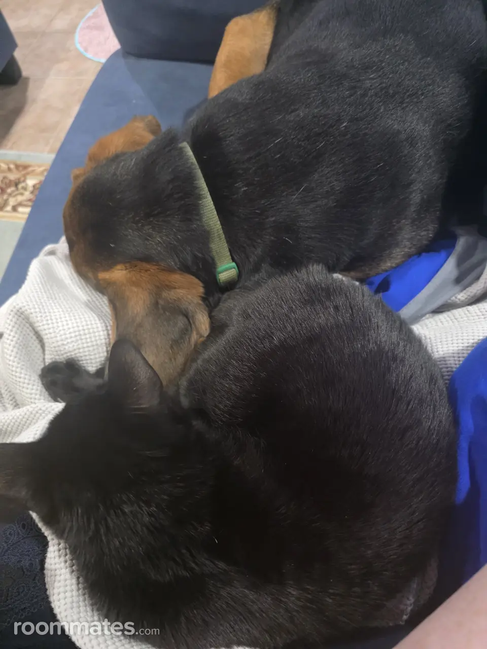 Profile photo 8 of 11